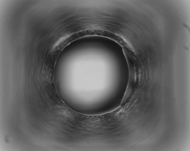 X0000096670919200802051219