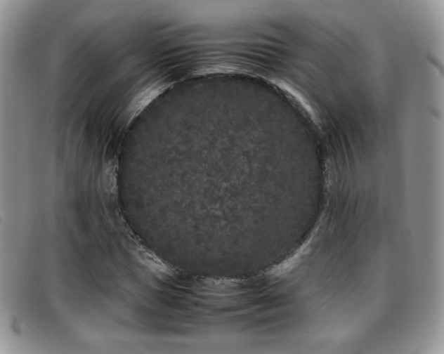 X0000096670921200802051219