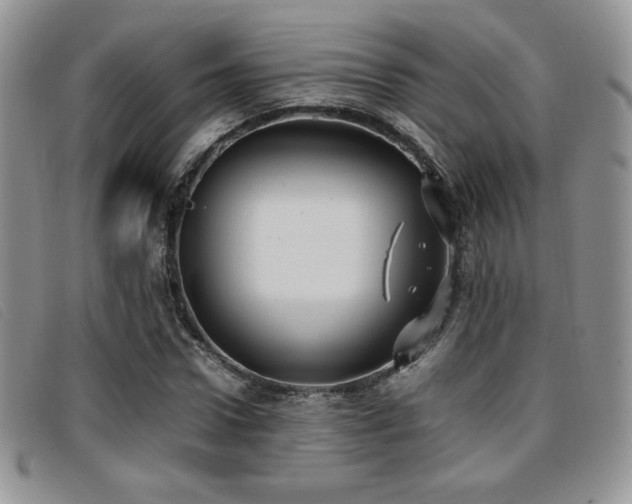 X0000096670922200802051219