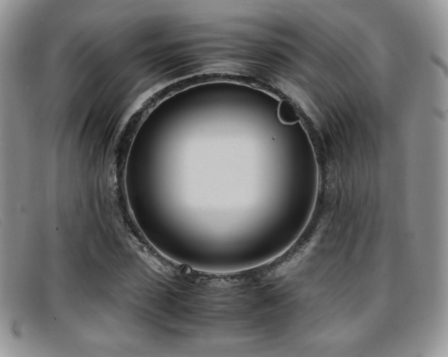 X0000096670923200802051219
