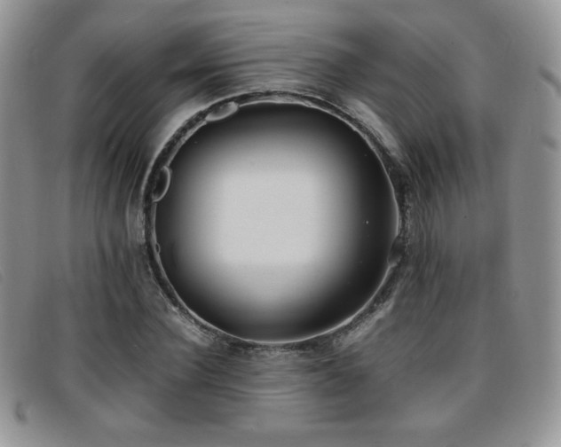 X0000096670924200802051219