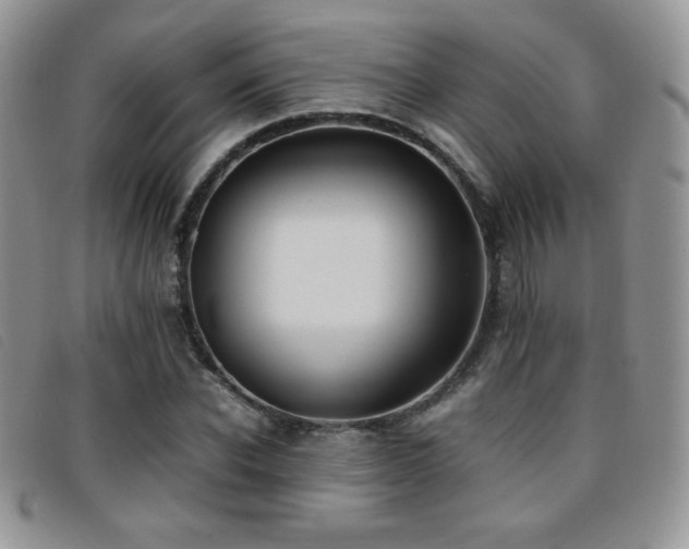 X0000096670926200802051219