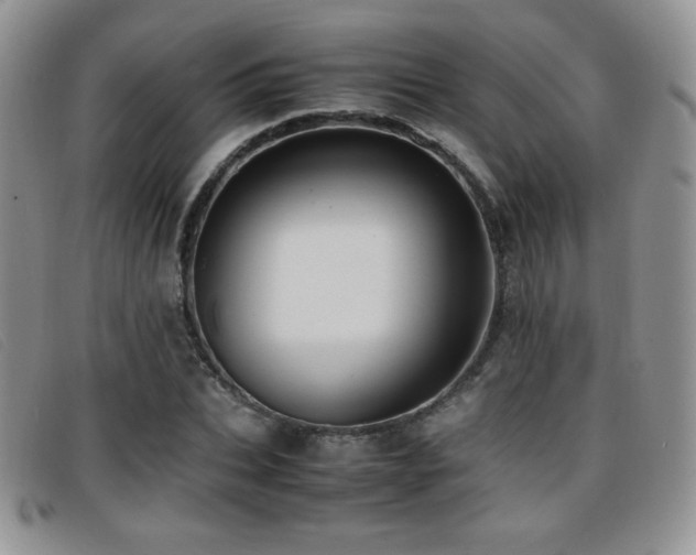 X0000096670927200802051219