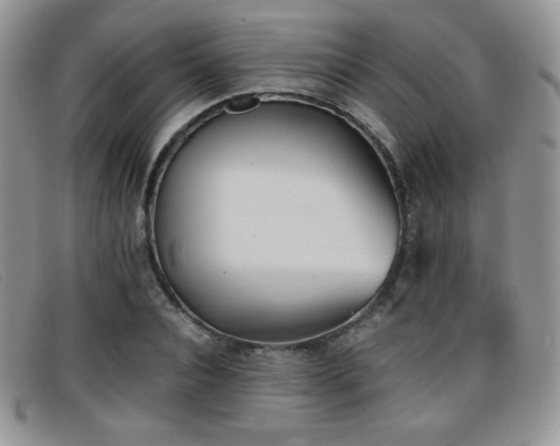 X0000096670928200802051219