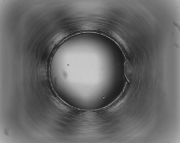 X0000096670930200802051219