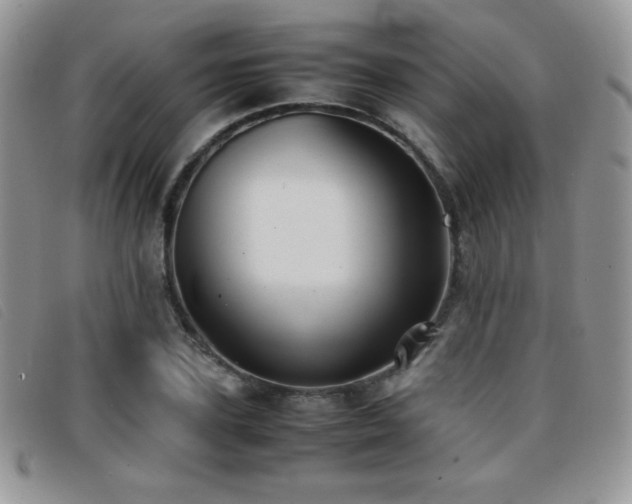 X0000096670931200802051219