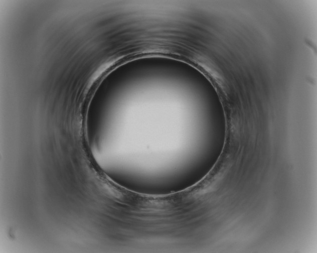 X0000096670933200802051219