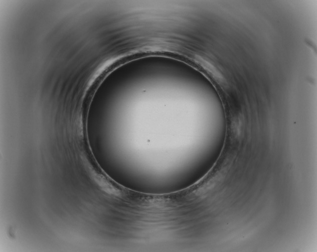X0000096670934200802051219