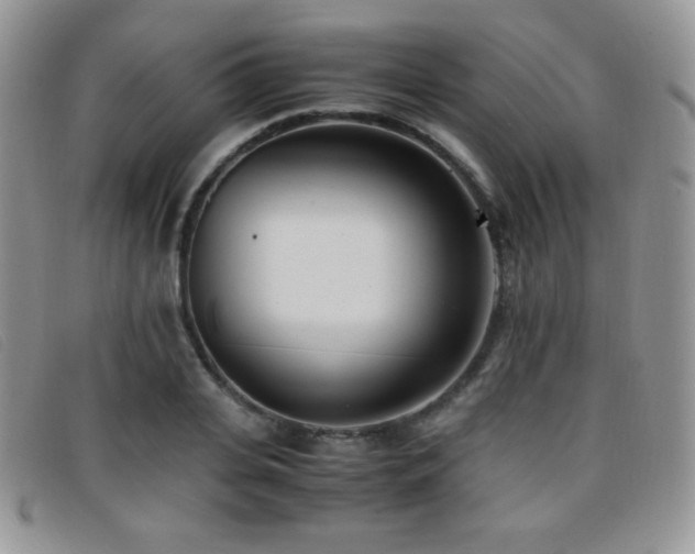 X0000096670935200802051219