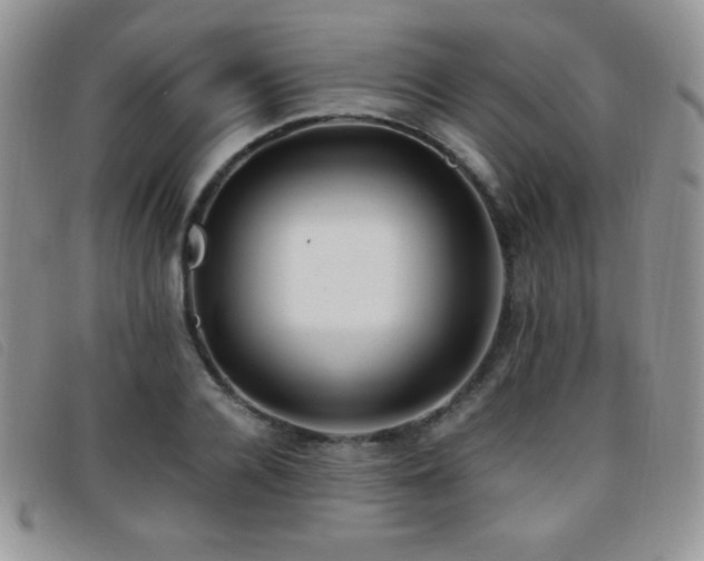 X0000096670936200802051219