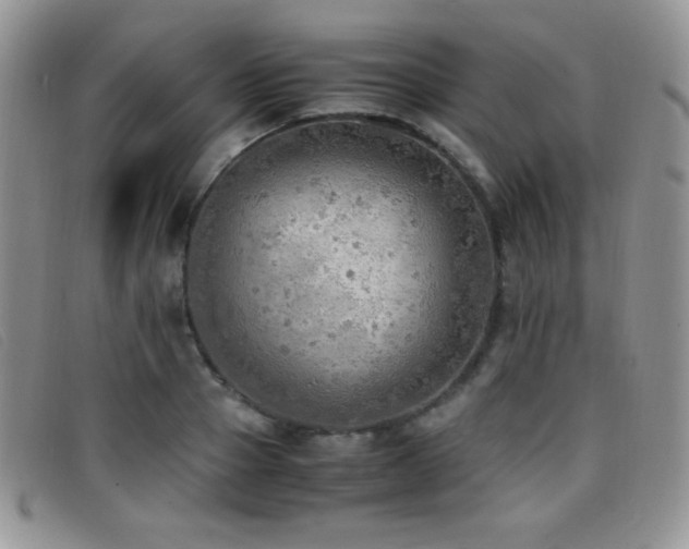 X0000096670937200802051219