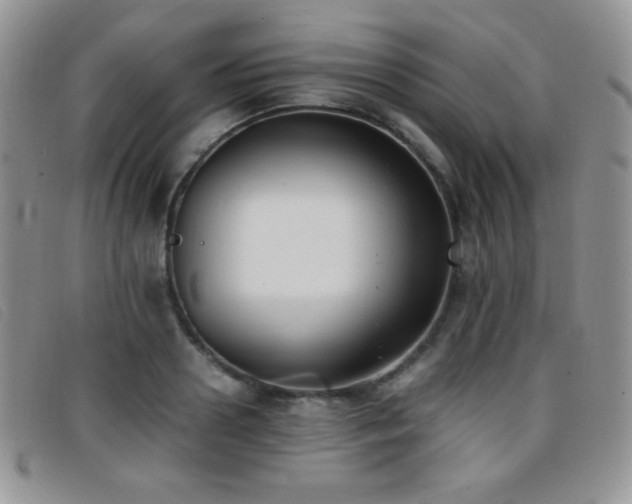 X0000096670938200802051219