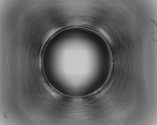X0000096670940200802051219