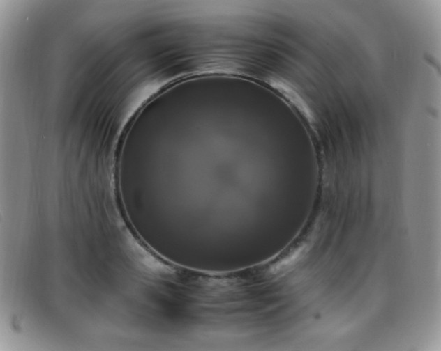 X0000096670941200802051219