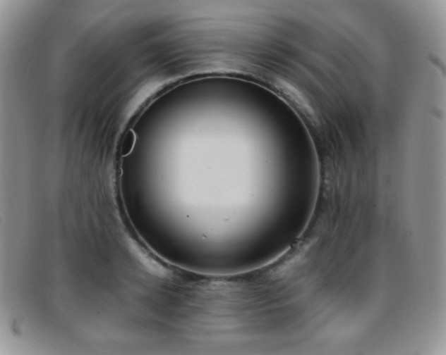 X0000096670942200802051219