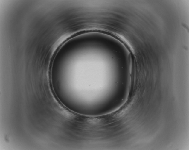 X0000096670943200802051219