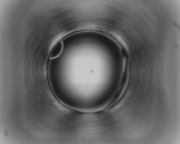 X0000096670944200802051219