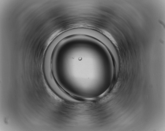 X0000096670946200802051219