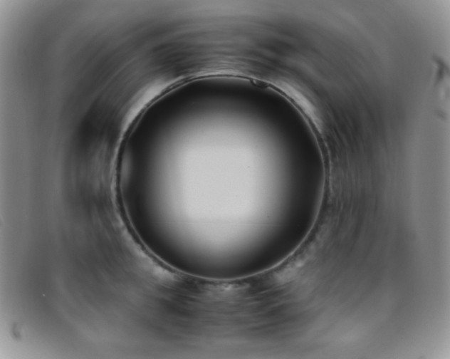 X0000096670949200802051219