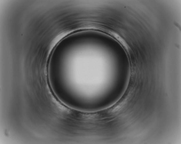 X0000096670951200802051219