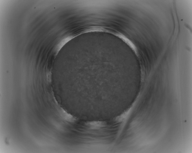 X0000096670953200802051219