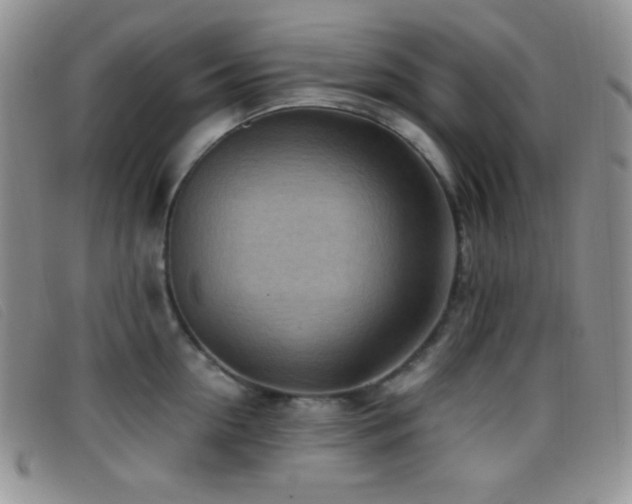 X0000096670954200802051219