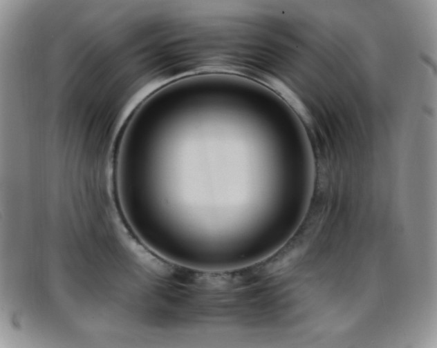 X0000096670955200802051219