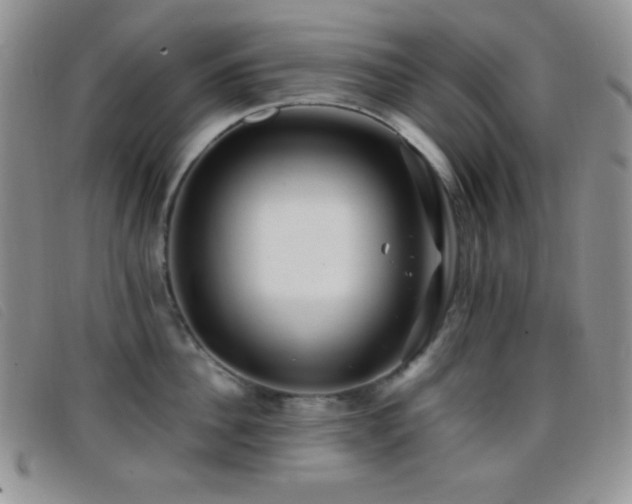 X0000096670956200802051219