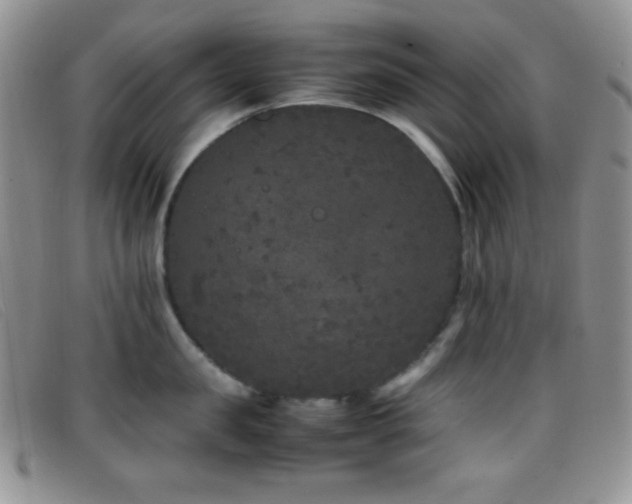 X0000096670957200802051219