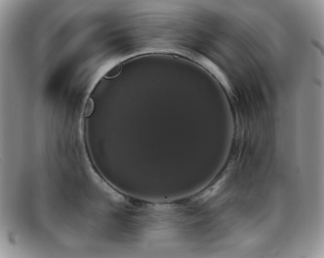 X0000096670958200802051219