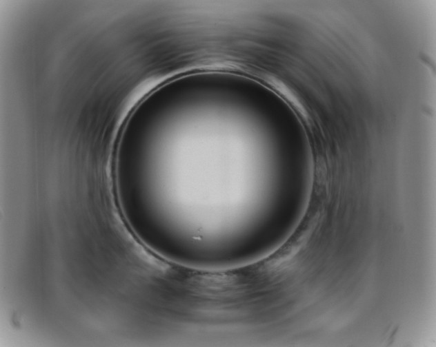 X0000096670959200802051219