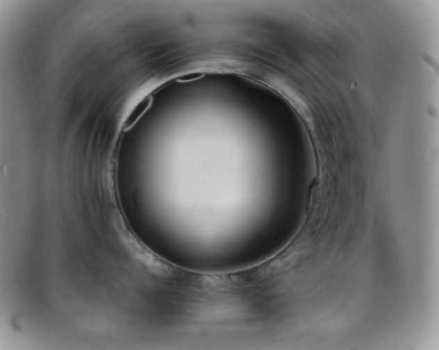 X0000096670960200802051219