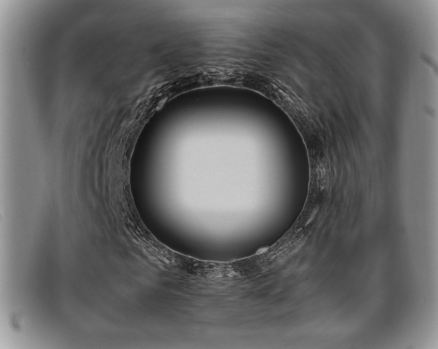 X0000096670961200802051219