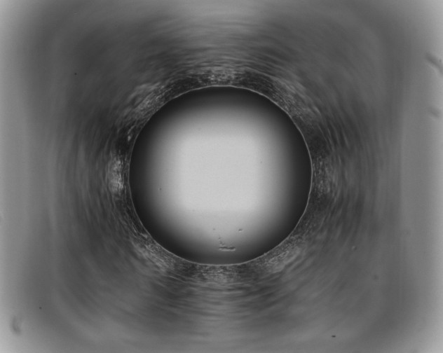 X0000096670962200802051219