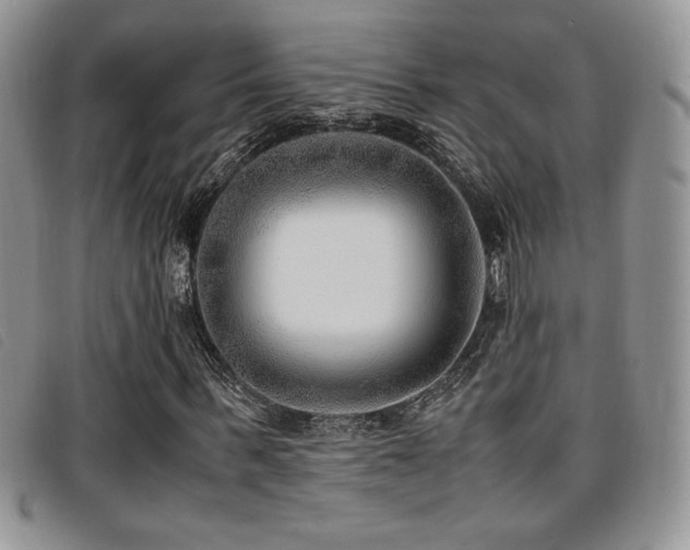 X0000096670963200802051219