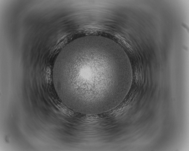 X0000096670964200802051219