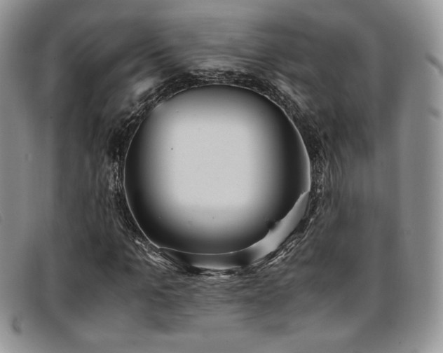X0000096670965200802051219