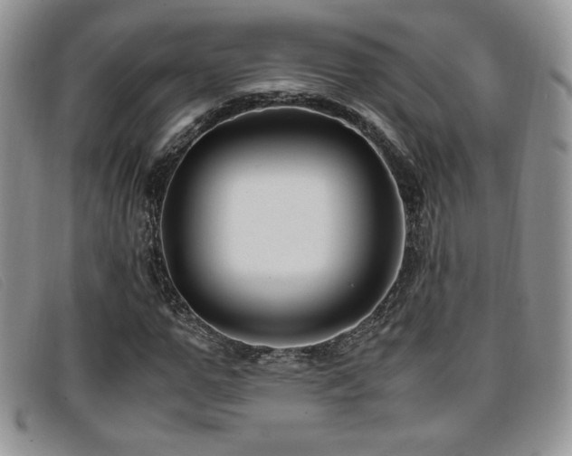 X0000096670967200802051219