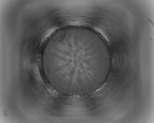 X0000096670968200802051218