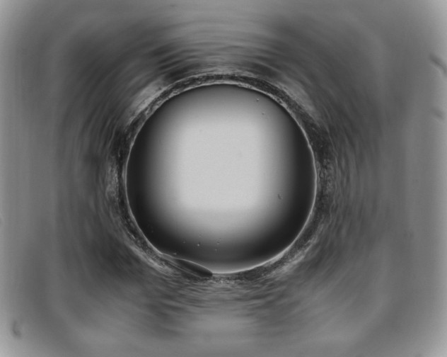 X0000096670969200802051218