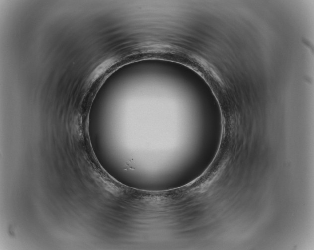 X0000096670970200802051218