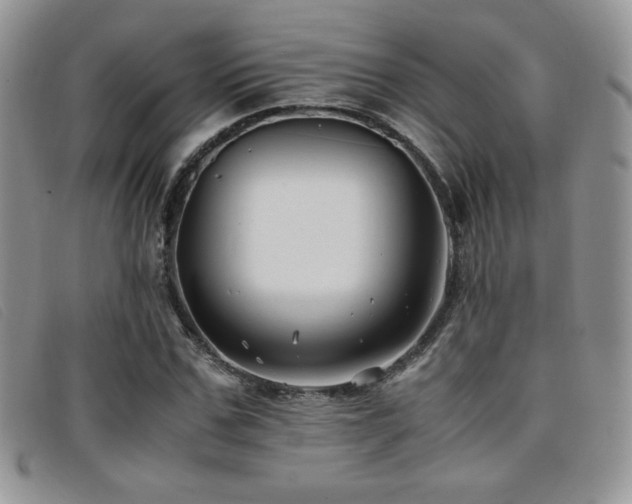 X0000096670971200802051218