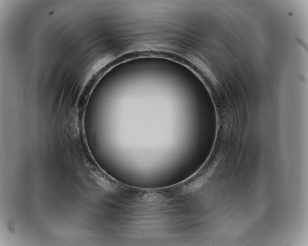 X0000096670974200802051218