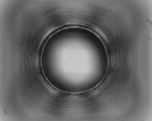 X0000096670976200802051218
