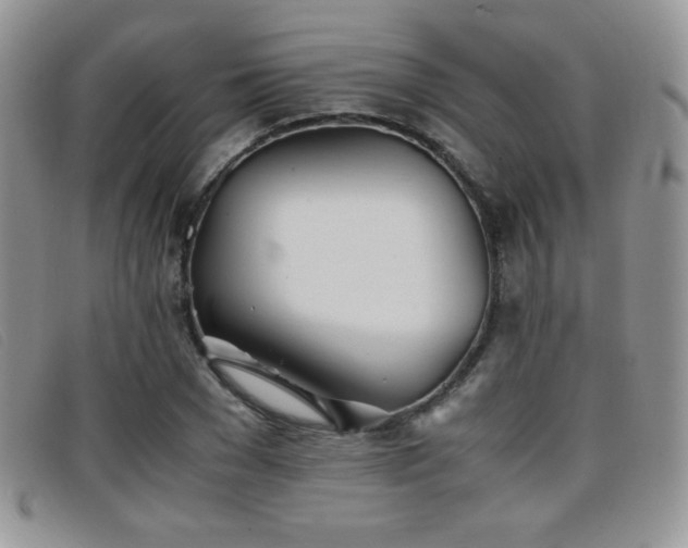 X0000096670977200802051218