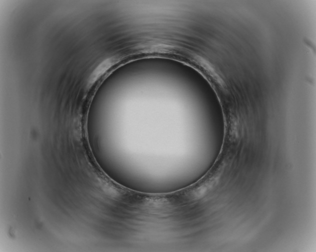 X0000096670978200802051218