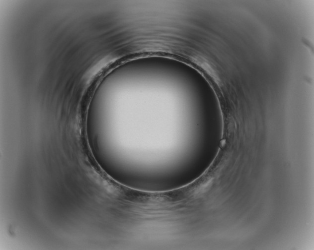 X0000096670979200802051218