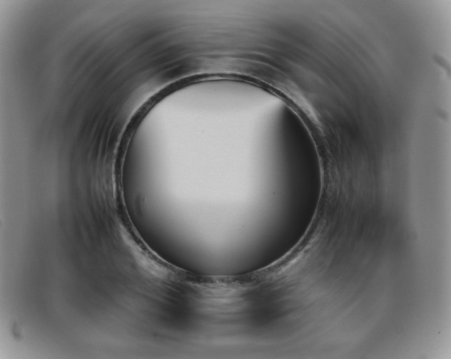 X0000096670980200802051218