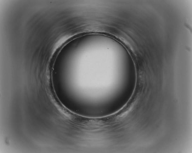 X0000096670981200802051218