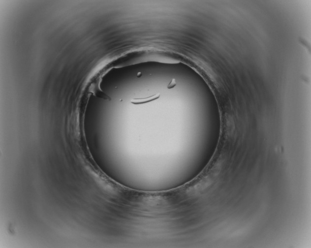 X0000096670982200802051218